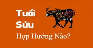 chon huong nha cho nguoi tuoi suu